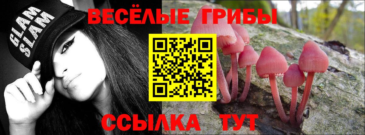 купить наркотик  Галлюциногенные грибы MAGIC MUSHROOMS  Вход с VPN  Галлюциногенные грибы GOLDEN TEACHER  Магадан 